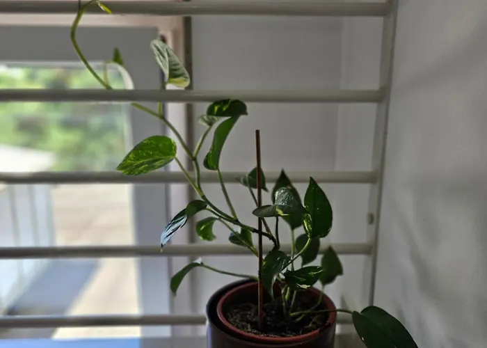 Prunk Ξενοδοχείο