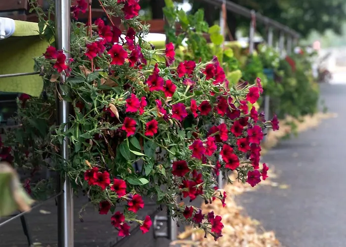 Prunk Отель Сезана